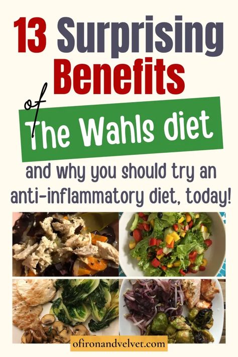 Whals Protocol Food Lists, Dr Terry Wahls Diet, The Wahls Protocol, Wahls Diet Recipes, Wahls Protocol Food List, Wahls Protocol Recipes, Terry Wahls Diet, Noom Healthy Meals, Multiple Sclerosis Diet