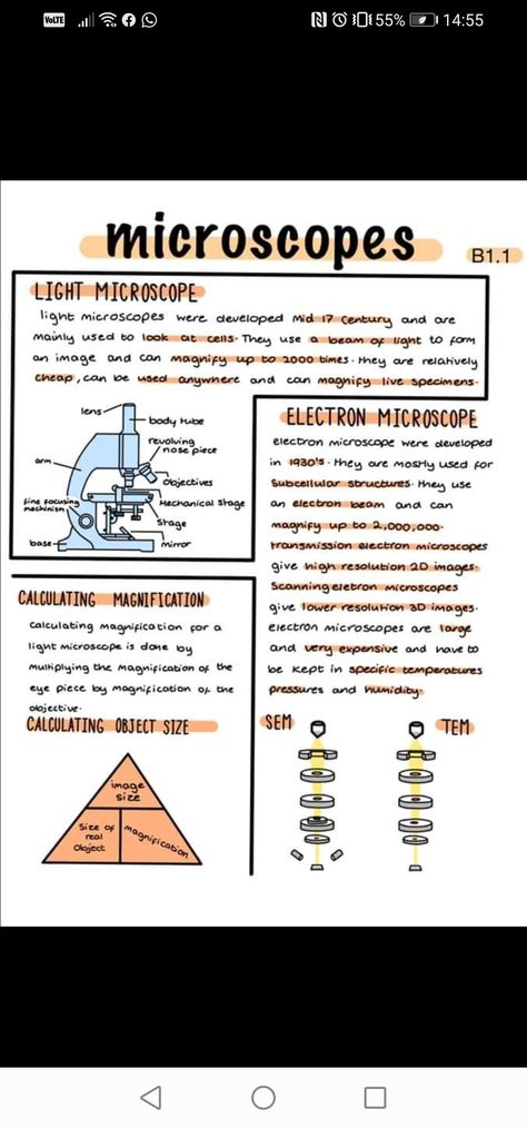 Microscope Notes, Biology Revision Gcse, Biology Topics, Biology Microscope, Gcse Chemistry Revision, Microbiology Notes, Gcse Science Revision, Microbiology Study, Chemistry Revision