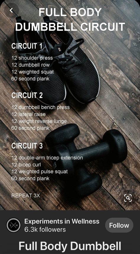 Crossfit Circuit Workout, Dumbbell Superset Workout, 3 Day Split Workout Dumbell, New Years Eve Workout, Hitt Workout Dumbell, Full Body Dumbbell Circuit, Dumbell Circuits, Wod Workouts At Home, Dumbell Circuit