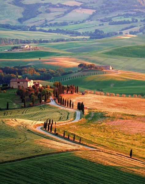 Val D Orcia, Toscana Italy, Siena Italy, Toscana Italia, Italy Map, 수채화 그림, Italy Photo, Tuscany Italy, Rolling Hills