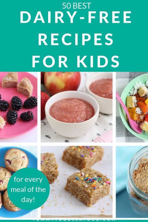 Dairy Free Recipes For Toddlers, Dairy Free Recipes For Kids, Recipes For Toddlers, Dairy Free Lunch, Dairy Free Frosting, Lactose Free Recipes, Dairy Free Snacks, Milk Allergy, Dairy Free Dinner