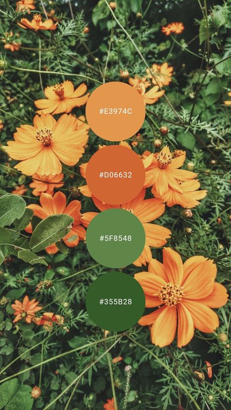 Green Orange Aesthetic Bedroom, Vibrant Earth Tone Color Palette, Sage Green And Orange Aesthetic, Color Palette Mexico, Green Yellow Orange Color Palette, Colors That Go With Dark Green, Bold Color Palette Brand Identity, Orange And Green Aesthetic, Orange Green Wedding