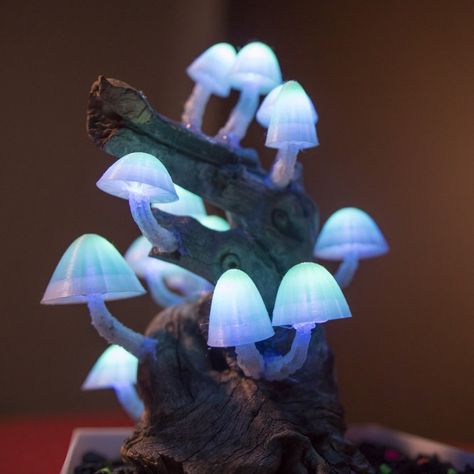 3D Printable Mushroom Caps for Glowing Mushroom Light             by Devin Montes Dekorere Bad, Mushroom Light, Glowing Mushrooms, Mushroom Plant, Mushroom Pictures, Mushroom Lights, Psy Art, Stuffed Mushroom Caps, Mushroom Fungi