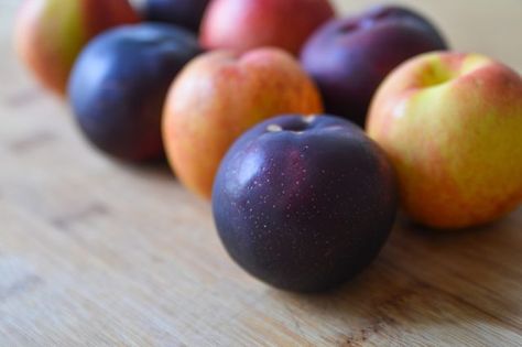 How to Freeze Whole Peaches & Plums Freezing Plums, Freezing Peaches, Plum Preserves, Freezing Apples, Apple Butter Recipe, Apple Varieties, Apple Chips, Dried Apples, Apple Orchard