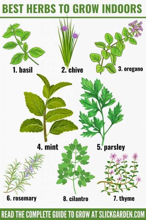 Indoor Garden Herbs, Herbs To Plant Indoors, How To Grow Veggies Indoors, How To Grow Indoor Herbs, Grow Indoor Herbs, Edible Plants To Grow Indoors, Best Indoor Herbs To Grow, Grow Herbs At Home, Indoor Herbs Ideas