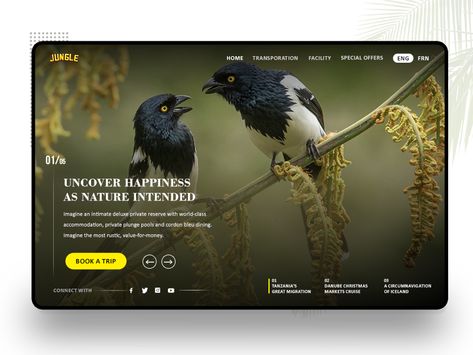 Slider Ui, Slider Web, Ui Ux Design Trends, Ux Design Trends, Website Slider, Premium Website, Slider Design, Ui Design Website, Website Images