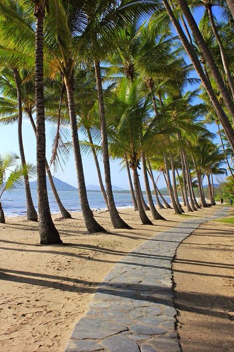 Palm Cove, Cairns.  Photo taken by me - July 2013 Palm Cove Cairns, Cairns Queensland, Sky Pretty, Palm Cove, Serene Garden, Cairns Australia, Digital Nomad Life, Port Douglas, Beach Holidays