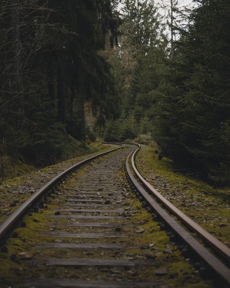 Railroads Aesthetic, Train Tracks Aesthetic, Reference Places, Apocalypse Party, Pretty Scenery, Apocalypse Aesthetic, Railroad Photography, Melodrama, Train Tracks