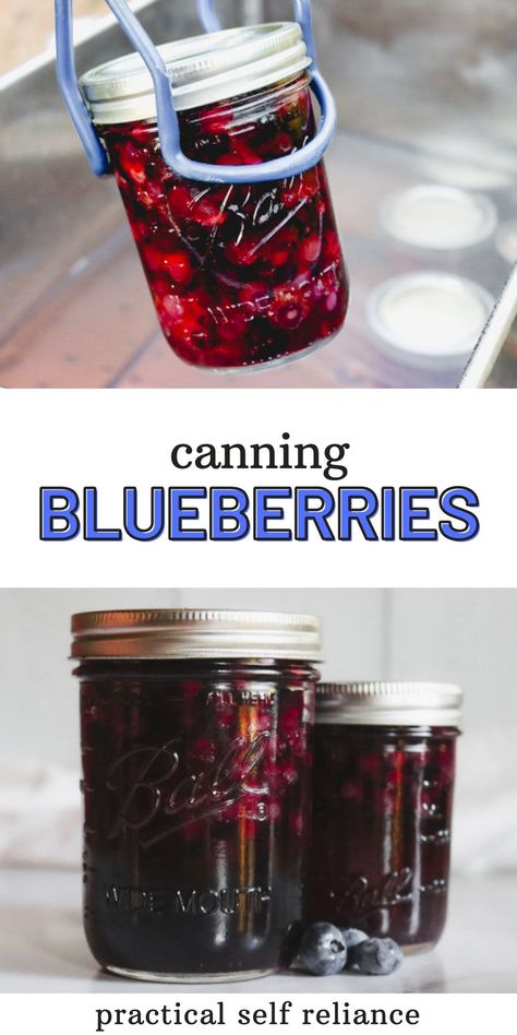 Canning whole blueberries is a simple way to preserve blueberries for winter baking, or simply eating right out of the jar. Preserve Blueberries, Canning Blueberries, Freezing Blueberries, Dehydration Recipes, Canning Fruit Recipes, Storing Food Long Term, Canning Peaches, Pressure Canning Recipes, Canned Blueberries