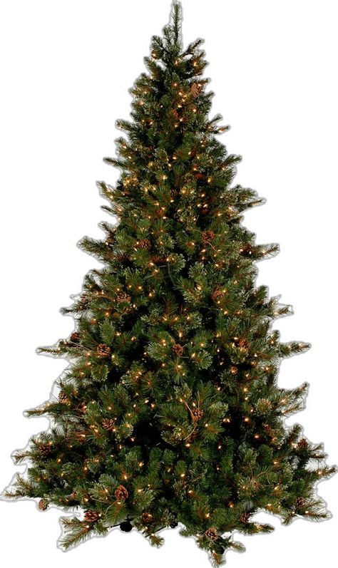 Real Xmas Trees, Christmas Nature, Wallpapers Nature, Realistic Christmas Trees, Christmas Tree Images, Faux Christmas Trees, Christmas Tree Png, Christmas Tree Clipart, Christmas Tree Branches