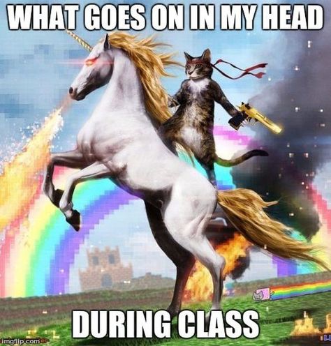 20 Ridiculous Unicorn Memes That Will Make You Laugh Book Nerd, Humour, Unicorn Memes, Space Unicorn, Ninja Cats, Unicorn Funny, Nurse Humor, Dieselpunk, 귀여운 동물