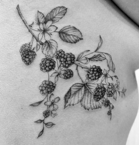 Blackberry Vine Tattoo Arm, Fine Line Blackberry Tattoo, Blackberry Tattoo Sleeve, Rasberry Tattoos Simple, Blackberry Tattoo Design, Wild Blackberry Tattoo, Mulberry Tree Tattoo, Wild Berry Tattoo, Raspberry Plant Tattoo