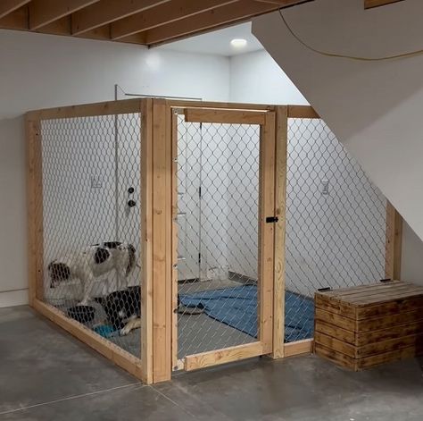 Basement Dog Kennel Ideas Diy, Dog Kennel Basement, Dog Area In Garage Diy, Dog Crate In Garage, Diy Outdoor Kennels For Dogs, Dog Room In Basement, Diy Dog Kennels Indoor, Indoor Dog Kennel Room, Indoor Dog Kennel Ideas Diy