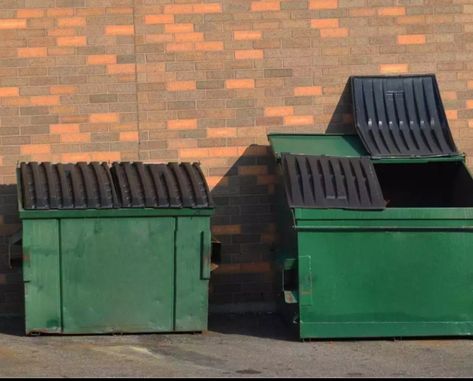 Roll Off Dumpster, Removing Carpet, Dumpster Rental, Dumpsters, Yard Waste, Small Remodel, Home Addition, Best Commercials, Clean Office