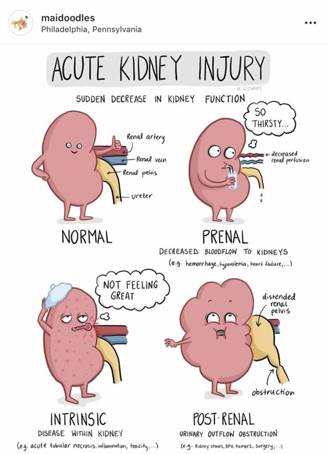 Nursing Hacks, Np School, Nursing School Inspiration, Nursing Assessment, Nurse Study, Medical Notes, Nursing School Motivation, Medical School Life, Basic Anatomy And Physiology