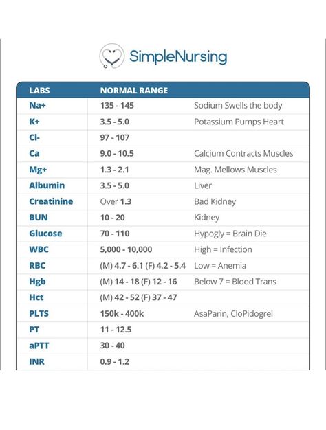 Medication Administration Nursing, Pca Nurse, Simple Nursing Study Guides Fundamentals, Simple Nursing, Types Of Precautions Nursing, Simple Nursing Study Guides, Most Common Nclex Meds, Cna Study Guide, Nursing Diagnosis Cheat Sheet