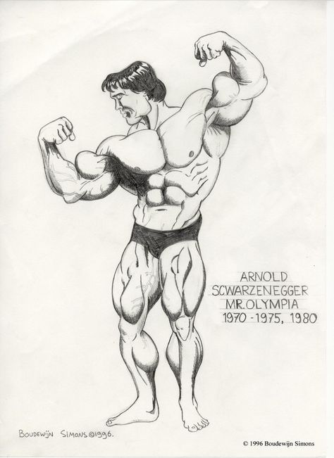 bodybuilding caricatures Arnold Schwarzenegger Bodybuilder Drawing Sketch, Arnold Schwarzenegger Drawing, Body Builder Drawing, Bodybuilder Sketch, Arnold Drawing, Bodybuilder Drawing, Bodybuilding Drawing, Bodybuilder Art, Bodybuilding Art