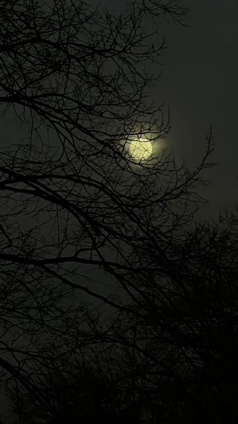 Full Moon Aesthetic, Creepypasta Wallpaper, Wine Wallpaper, Dark Grunge Aesthetic, Werewolf Aesthetic, Dark Landscape, Moon Aesthetic, Emo Wallpaper, The Moon Is Beautiful