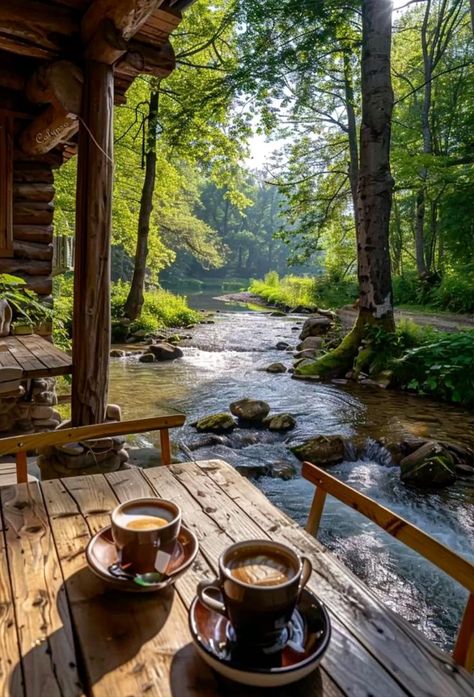 Wellness Retreat Aesthetic, Forest Living, Forest Cafe, Cozy Camping, Mystical Places, Life Vision, Cups Of Coffee, Happy Pictures, Quiet Place