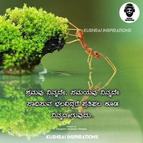 Kannada Motivational Quotes Thoughts For Teachers Day, Good Thoughts For Students, Kannada Motivational Quotes, Mind Your Own Business Quotes, Motivational Thoughts For Students, Exam Motivation Quotes, Thoughts On Education, Kannada Quotes, Wellness Centre