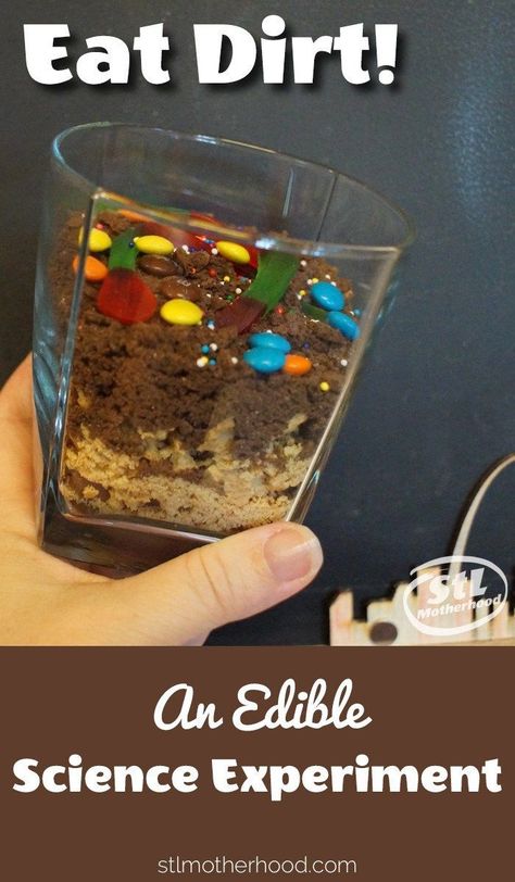 Eat dirt for science! A fun project that mixes STEM learning with fun snacking. Teaches kids about the layers of soil and a little geology. Science Snack, Layers Of Soil, Soil Activities, Edible Science, Food Experiments, Science Week, Science Camp, Summer Science, Kid Experiments