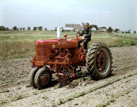 Farmall Super M Tractor with Rotary Cultivator Farmall Super A, Farmall Super M, John Deere Tractors Pictures, Farmall M, Tractor Pictures, Big Toys, Golden Treasure, Farm Day, International Tractors