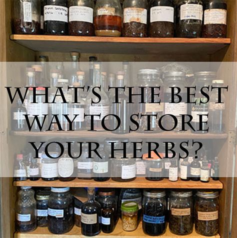 Nature, Witch Herb Organization, Apothecary Organization Ideas, Apothecary Storage Ideas, Herb Organisation, Herbalist Storage Ideas, Herbal Organization, Witch Herb Storage, Herb Station