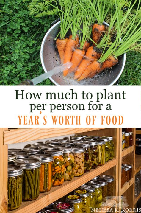 how much to plant per person for a year's worth of food Organic Gardening Tips, Garden Types, Garden Care, Living Simply, Homestead Gardens, Victory Garden, Home Vegetable Garden, Food Garden, Grow Your Own Food