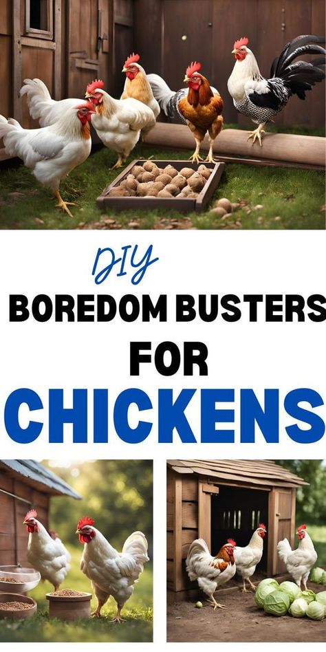 Keep your chickens entertained and cool with these easy DIY boredom busters for your backyard flock. Diy Chicken Entertainment, Chicken Boredom Buster, Chicken Entertainment, Toys For Chickens, Chicken Playground, Chicken Thoughts, Chicken Feed Diy, Chicken Boredom, Diy Chicken Toys