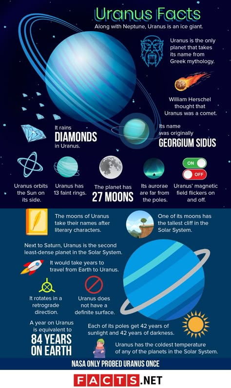 Neptune Facts, Solar System Facts, Planets In The Solar System, Uranus Planet, Solar System Worksheets, Planet Project, Ice Giant, Solar System Projects, Solar System Crafts