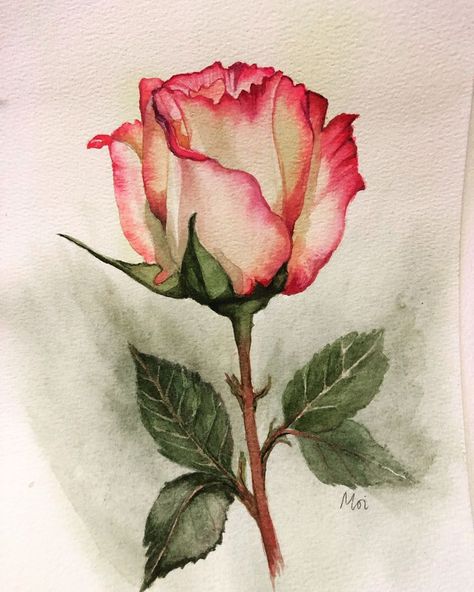 Red Tattoo Ideas, Red Ink Tattoo, Watercolor Pencil Art, Arte Aesthetic, Painting Flowers Tutorial, Red Tattoo, Flower Drawing Tutorials, Watercolour Flowers, Flower Art Drawing