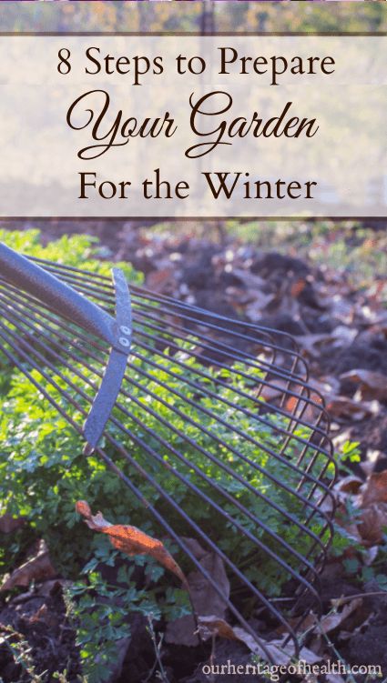 These eight steps can help you to prepare your garden for the winter and get ready for another gardening season in the spring. Winterize Garden, Fall Garden Prep, Fall Lawn Maintenance, Garden Prep, Living Naturally, Cold Frames, Garden Prepping, Winter Vegetables Gardening, Fall Clean Up