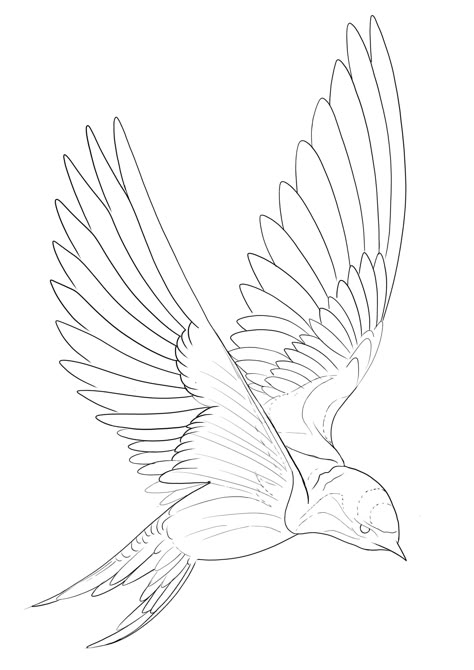 Sparrow Tattoo Outline, Swallow Bird Tattoo Design, Swallow Tattoo Stencil, Bird Line Work Tattoo, Sparrow Tattoo Stencil, Birds Line Drawing, Simple Swallow Tattoo, Sparrow Outline, Bird Tattoo Drawing