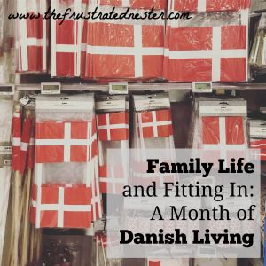 Danish Traditions, Danish History, Danish Living, Danish Christmas, Danish Food, Netherlands Travel, Expat Life, Nightlife Travel, Living Abroad