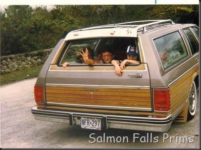 Station wagons with third row seat.  Fun to wave at the cars behind you. Station Wagon Cars, Wagon Cars, Childhood Memories 70s, Vintage Memory, Oldies But Goodies, I Remember When, Family Car, Good Ole, Sweet Memories