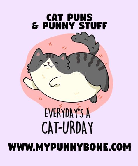 70+ Cat Puns And Jokes That Are Really A-mew-sing! - MyPunnyBone Pet Puns, Cat Races, Cat Massage, Cat Puns, Halloween Film, Cat Jokes, Hilarious Jokes, Animal Puns, Bad Cats