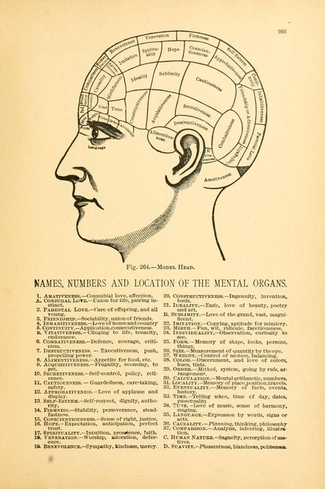 Heads and faces and how to study them; a manual of phrenology and physiognomy for the people : Sizer, Nelson, 1812-1897 : Free Download, Borrow, and Streaming : Internet Archive Cake Challenge, Phrenology Head, Gas Mask Art, Brain Facts, Face Reading, Science Of Reading, How To Study, Russian Dolls, Astrology Numerology