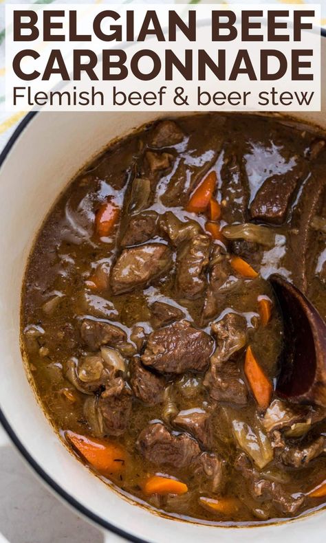 Belgium Beef Stew, Flemish Stew, Beer Roast, Flemish Beef Stew, Belgian Beef Stew, Beef And Ale Stew, Beef Stew With Beer, Dutch Oven Beef Stew, Braised Beef Recipes