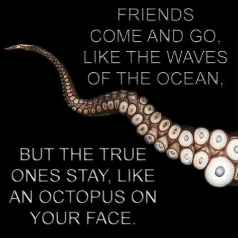 . Octopus Quotes, Friends Come And Go, Quoth The Raven, Life Inspiration, True Friends, I Smile, Great Quotes, Christian Quotes, Body Works