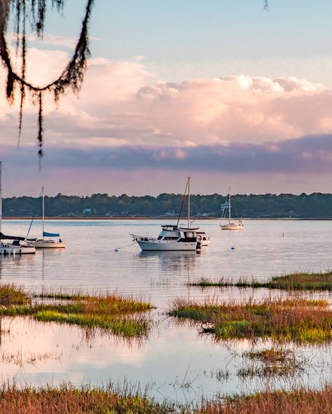 27 Unforgettable Things to Do in Beaufort, South Carolina in 2024 Low Country South Carolina, Beaufort South Carolina Aesthetic, Southern Coastal Aesthetic, James Island South Carolina, Things To Do In South Carolina, Lowcountry Aesthetic, Southern Scenery, South Carolina Beach House, South Carolina Aesthetic