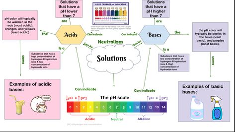 this is a cute concept map i made in my science class that you can use! (also includes linking words & helpful graphics!) solutions, physics, science, acids, bases, solutions, concept map, pH, pH scale, aesthetic, cute, pastel, notes, study, studying, cabbage scale, notes, physical science, web map, kawaii Ph Scale Aesthetic, Scale Aesthetic, Pastel Notes, Web Map, Ph Scale, Science Web, Chemistry Basics, Linking Words, Notes Study