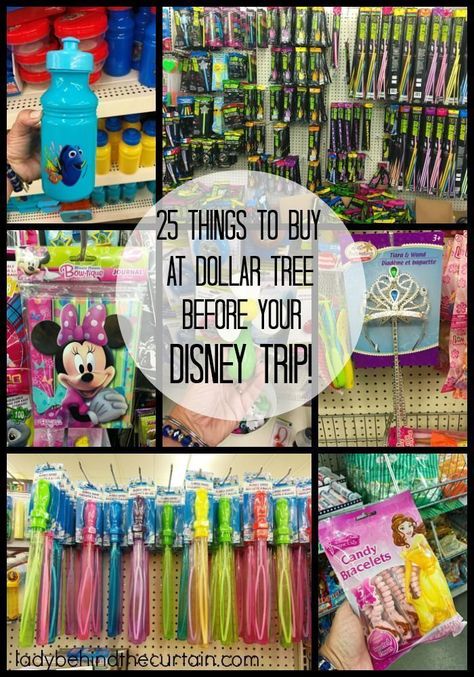 Disneyland Crafts, Orlando Christmas, Disney Stroller, Disneyland Gifts, Disney Surprise, Disney 2023, Vacation 2023, Disney Cute, Disney World Vacation Planning