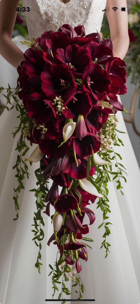 Red Lily Bouquet Wedding, Red Lily Bouquet, Burgundy Orchid Bouquet, Calla Lily Bridal Bouquet Burgundy, Dark Red Roses Wedding, Wedding Bouquets Red, Fresh Flower Bouquets Wedding, Calla Lily Bridal Bouquet, Calla Lily Bridal