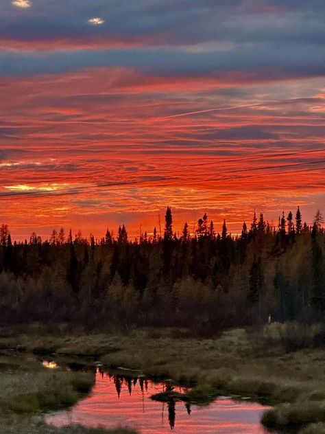 Canadian Landscapes | Beautiful picture taken of the sunset on the train going to Gillam Manitoba, October 16/2023 🧡 | Facebook Manitoba Aesthetic, Landscapes Beautiful, Canadian Landscape, O Canada, On The Train, Beautiful Picture, School Art, Music Photography, The Train