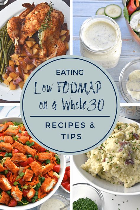 Whole 30 Low Fodmap Recipes, Monash Fodmap Recipes, Low Fodmap Buddha Bowl, Low Fodmap Picnic Food, Lowfod Map Lunch Ideas, Low Fodmap Keto Recipes, Lo Fodmap Recipes, Easy Low Fodmap Recipes Dinners, Lowfod Map Dinner Recipes