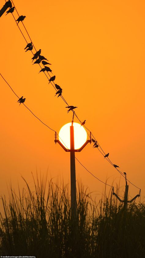 Tumblr, Electricity Pylon Aesthetic, Sun Images Nature, Sun Pics, Sun Effect, Sun Photos, Sun Images, Sun Pictures, Pictures Of The Sun