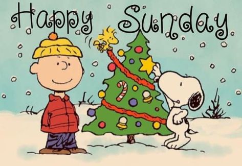 A Charlie Brown Christmas, Brown Christmas, The Peanuts, Charlie Brown Christmas, Peanuts Gang, Charlie Brown, Christmas Card, Snoopy, Christmas Tree