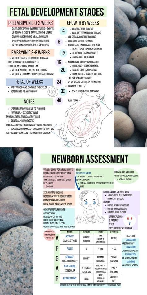 Nclex Lpn, Nursing Ob, Nicu Nurse Education, Pediatric Nursing Study, Lpn School, Newborn Assessment, Obstetrics Nursing, Nursing School Studying Cheat Sheets, Nursing School Inspiration