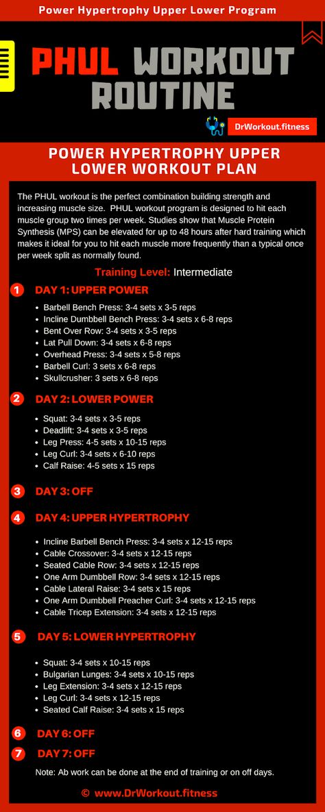 PHUL workout sheet Upper Lower Workout, Training Program Workout Routines, 4 Day Workout, Push Pull Workout, Lower Workout, Workout Sheets, Weight Training Women, Fitness Studio Training, Work Out Routines Gym