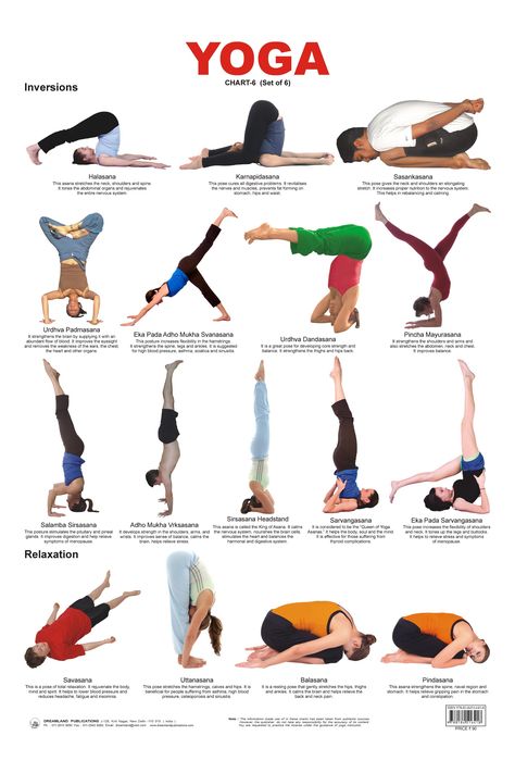 Inversions and Relaxation Chart Yoga Chart, Yoga Poses Chart, Hata Yoga, Jnana Yoga, Yoga Inversions, Yoga Handstand, Latihan Yoga, Poses For Beginners, Basic Yoga